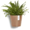 ECOPOTS Amsterdam Wall Terracotta Ø 20 Cm 1 ECOPOTS Amsterdam Wall Terracotta Ø 20 Cm -Aanbiedingen Intieme Eden Winkel 1521554096 2 600