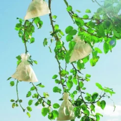 Fruithoezen 17 × 22 Cm Micropapier - Set Van 50 Stuks 10 Fruithoezen 17 × 22 Cm Micropapier - Set Van 50 Stuks -Aanbiedingen Intieme Eden Winkel 1523459561 1 600