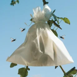 Fruithoezen 17 × 22 Cm Micropapier - Set Van 50 Stuks 11 Fruithoezen 17 × 22 Cm Micropapier - Set Van 50 Stuks -Aanbiedingen Intieme Eden Winkel 1523459561 2 600