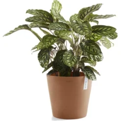 ECOPOTS Amsterdam - Terracotta Ø 50 Cm -Aanbiedingen Intieme Eden Winkel 1535441014 1 600