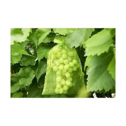 Fruithoes Met Trekkoord 20 × 30 Cm - Set Van 25 Stuks -Aanbiedingen Intieme Eden Winkel 1557497508 2 600