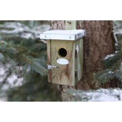 ESSCHERT DESIGN Nestkast Winterkoning Met Zinken Dak 8 ESSCHERT DESIGN Nestkast Winterkoning Met Zinken Dak -Aanbiedingen Intieme Eden Winkel 1561965554 3 600