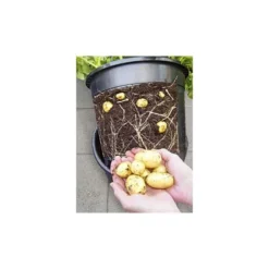 ESSCHERT DESIGN Aardappelpot - PotatoPot - 12 Liter -Aanbiedingen Intieme Eden Winkel 1579855339 2 600