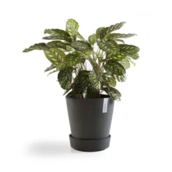 ECOPOTS Amsterdam Onderschotel Op Wielen - Antraciet Ø 41,60 Cm -Aanbiedingen Intieme Eden Winkel 1594023106 1 600