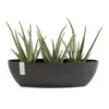 ECOPOTS Sofia Long 55 Cm - Antraciet -Aanbiedingen Intieme Eden Winkel 1599806742 1 600