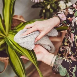 Compo Undergreen Green Shine - Bladverzorgende Spray Groene Planten 250ml -Aanbiedingen Intieme Eden Winkel 1603183017 3 600