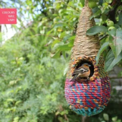 Vogelnest Tahera - Traanvorm