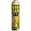 BSI HerbiFlam Gas Onkruidbestrijding - 600 Ml -Aanbiedingen Intieme Eden Winkel 1612189964 1 600