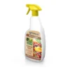 EDIALUX Colzasect Spray Groenten En Fruit 1 EDIALUX Colzasect Spray Groenten En Fruit -Aanbiedingen Intieme Eden Winkel 1613746731 1 600