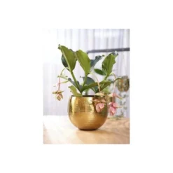 Bloempot Kody Goud - Set Van 2 Stuks 7 Bloempot Kody Goud - Set Van 2 Stuks -Aanbiedingen Intieme Eden Winkel 1613999803 2 600