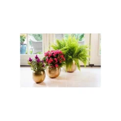 Bloempot Kody Goud - Set Van 2 Stuks 8 Bloempot Kody Goud - Set Van 2 Stuks -Aanbiedingen Intieme Eden Winkel 1613999803 3 600