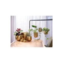 Bloempot Kody Goud - Set Van 2 Stuks 9 Bloempot Kody Goud - Set Van 2 Stuks -Aanbiedingen Intieme Eden Winkel 1613999803 4 600