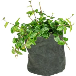 Bloempot Juna Blauw - Ø 14 × 14 Cm