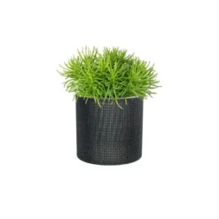 Bloempotten Jacco Zwart - Set Van 5 Stuks -Aanbiedingen Intieme Eden Winkel 1614005418 2 600