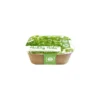 Box Healthy Herb - Peterselie 1 Box Healthy Herb - Peterselie -Aanbiedingen Intieme Eden Winkel 1640856818 1 600