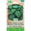Boerenkool Kale Westlandse Winter BIO 1 Boerenkool Kale Westlandse Winter BIO -Aanbiedingen Intieme Eden Winkel 1646291993 1 600