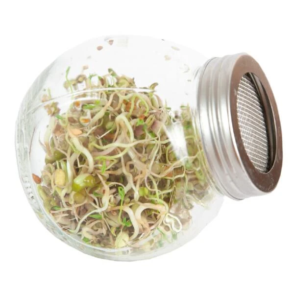 Organic Sprouting Pot - Salade Mix BIO 4 Organic Sprouting Pot - Salade Mix BIO - Afbeelding 2