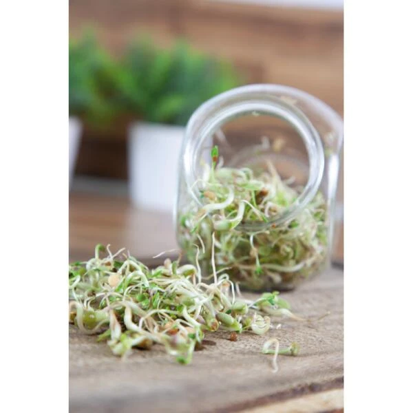 Organic Sprouting Pot - Salade Mix BIO 6 Organic Sprouting Pot - Salade Mix BIO - Afbeelding 4