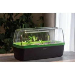 Groeilicht LED Voor Mini-kweekkas 20 Cm - 5 Watt -Aanbiedingen Intieme Eden Winkel 1653465884 4 600