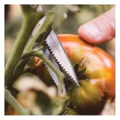 Groenteschaar Fiskars Solid - SP240 -Aanbiedingen Intieme Eden Winkel 1655979925 5 600