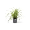 ECOPOTS Oslo Mini - Grijs Ø 19 Cm -Aanbiedingen Intieme Eden Winkel 1672741281 1 600