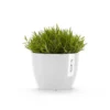 ECOPOTS Stockholm - Puur Wit Ø 16 Cm 1 ECOPOTS Stockholm - Puur Wit Ø 16 Cm -Aanbiedingen Intieme Eden Winkel 1672839673 1 600