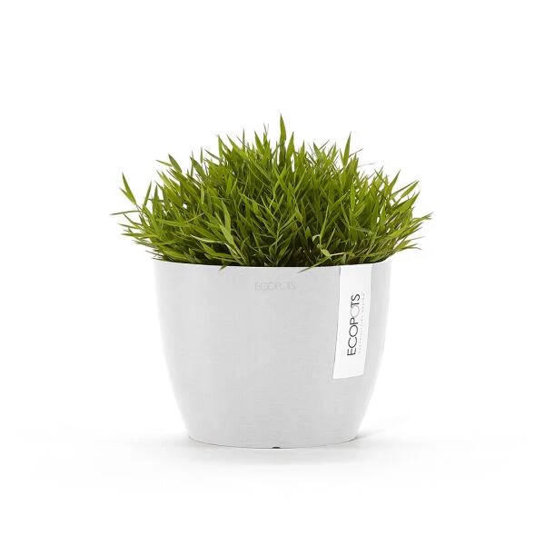 ECOPOTS Stockholm - Puur Wit Ø 16 Cm 3 ECOPOTS Stockholm - Puur Wit Ø 16 Cm