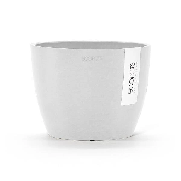 ECOPOTS Stockholm - Puur Wit Ø 16 Cm 4 ECOPOTS Stockholm - Puur Wit Ø 16 Cm - Afbeelding 2
