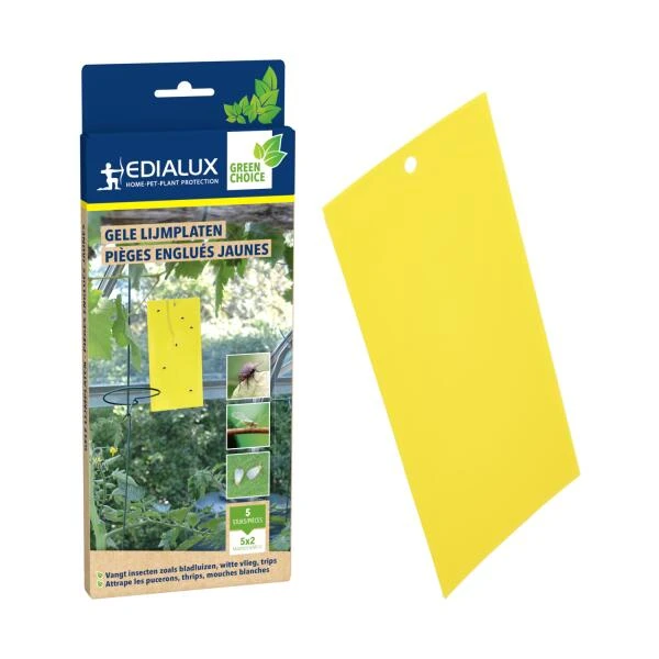 Lijmvangplaten - Set Van 5 Stuks 4 Lijmvangplaten - Set Van 5 Stuks - Afbeelding 2