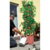 Plantentoren Maxitom Met Waterreservoir - Terracotta -Aanbiedingen Intieme Eden Winkel 1677510667 1 600