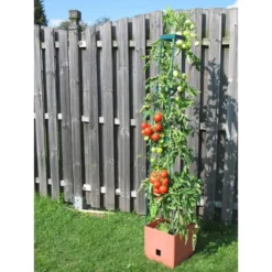 Plantentoren Maxitom Met Waterreservoir - Terracotta -Aanbiedingen Intieme Eden Winkel 1677510667 2 600