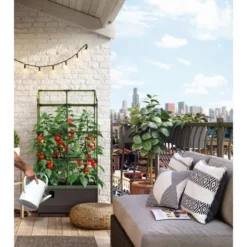 Kweekbak City Jungle Basic Met Klimframe -Aanbiedingen Intieme Eden Winkel 1677572004 4 600