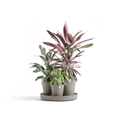 ECOPOTS Dubai Ø 57 Cm - Taupe
