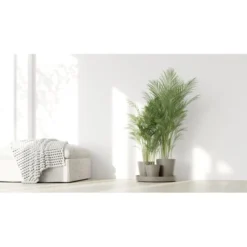 ECOPOTS Dubai Ø 57 Cm - Taupe -Aanbiedingen Intieme Eden Winkel 1678286706 3 600