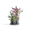 ECOPOTS Dubai Ø 57 Cm - Grijs 1 ECOPOTS Dubai Ø 57 Cm - Grijs -Aanbiedingen Intieme Eden Winkel 1678287455 1 600