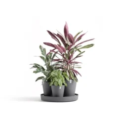 ECOPOTS Dubai Ø 57 Cm - Grijs