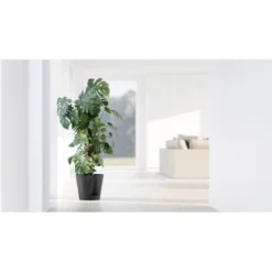 ECOPOTS Venice 2 Ø 30 Cm - Antraciet -Aanbiedingen Intieme Eden Winkel 1678350723 2 600