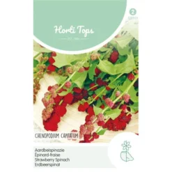 Aardbeispinazie - Chenopodium Capitatum