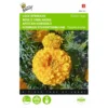 Afrikaan Golden Age - Tagetes Erecta -Aanbiedingen Intieme Eden Winkel afrikaan golden age tagetes erecta 1646840331 435 600