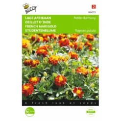Afrikaan Petite Harmony - Tagetes Patula Nana