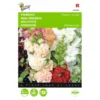 Alcea Rosea Chaters Mix -Aanbiedingen Intieme Eden Winkel alcea rosea chaters mix 1646840334 495 600