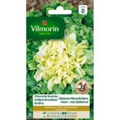 Andijvie Breedblad Salanca