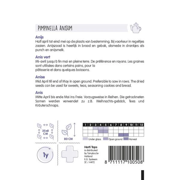 Anijs - Pimpinella Anisum 4 Anijs - Pimpinella Anisum - Afbeelding 2