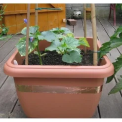 Anti-slakken Kopertape 4 M -Aanbiedingen Intieme Eden Winkel antislakken kopertape 1484052941 3 600