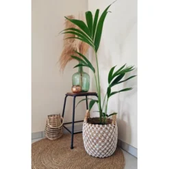 Banana Mand - Ø 35 × 45 Cm - M -Aanbiedingen Intieme Eden Winkel banana mand 35 x 45 cm 1666263684 3 600