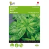 Basilicum Grove - Ocimum Basilicum -Aanbiedingen Intieme Eden Winkel basilicum grove ocimum basilicum 1646840312 13 600