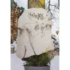 Beschermhoes Planten - Eland - 110 × 110 Cm -Aanbiedingen Intieme Eden Winkel beschermhoes eland 110x110 cm 1622202785 1 600