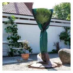 Beschermhoes Palmboom - Groen - 150 Cm 6 Beschermhoes Palmboom - Groen - 150 Cm -Aanbiedingen Intieme Eden Winkel beschermhoes palmboom 150 cm 1674116728 2 600