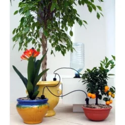 Bewateringskit Met 3 Druppelaars