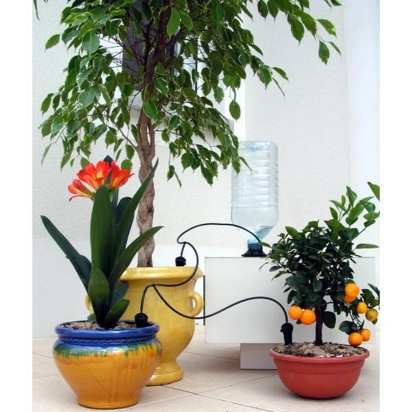 Bewateringskit Met 3 Druppelaars 3 Bewateringskit Met 3 Druppelaars